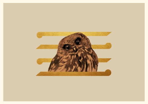 Golden Ruru Art Sam Burrows