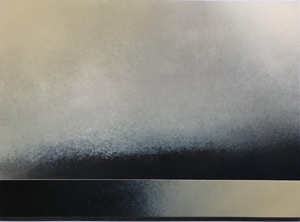 Lake Hayes Inversion Art Richard Adams