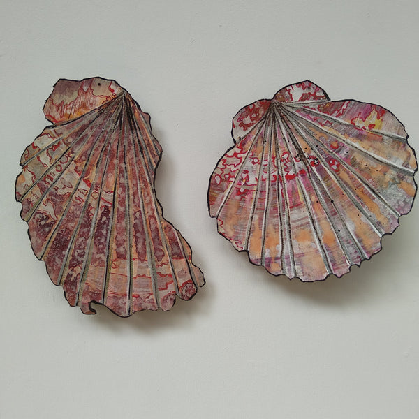 Scallop Shell Pair Art Liz McAuliffe